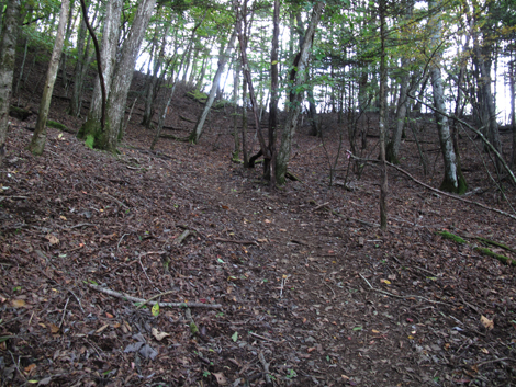20171012hike (150)